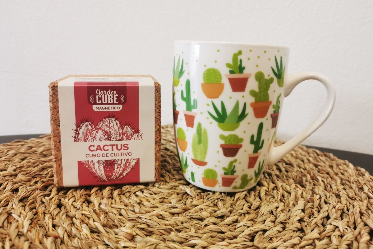 Souvenir_Kit_Tenerife_01